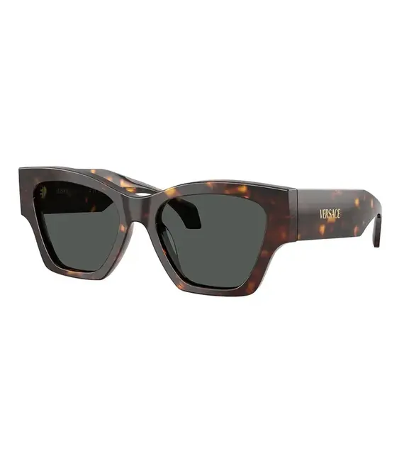 Γυαλιά ηλίου Versace χρώμα: καφέ, 0VE4492U