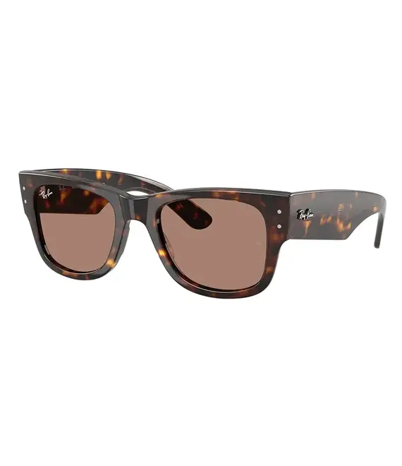 Γυαλιά ηλίου Ray-Ban MEGA WAYFARER χρώμα: καφέ, 0RB0840S