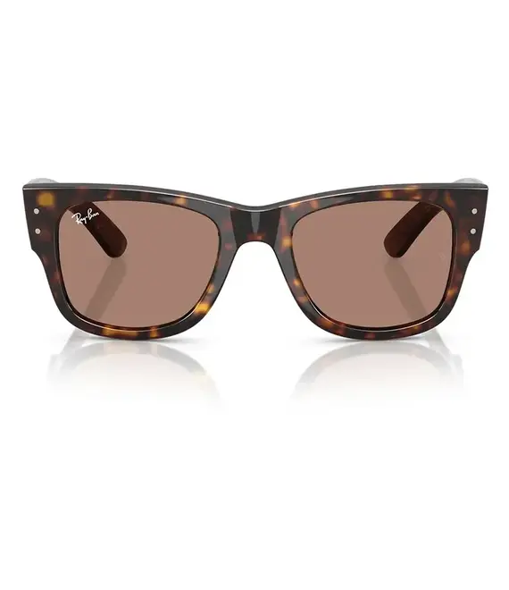 Γυαλιά ηλίου Ray-Ban MEGA WAYFARER χρώμα: καφέ, 0RB0840S