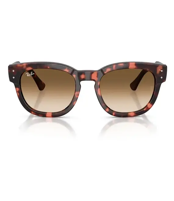 Γυαλιά ηλίου Ray-Ban χρώμα: καφέ, 0RB0298S