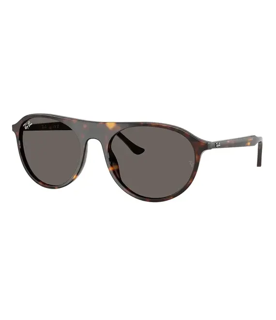 Γυαλιά ηλίου Ray-Ban χρώμα: καφέ, 0RB2215