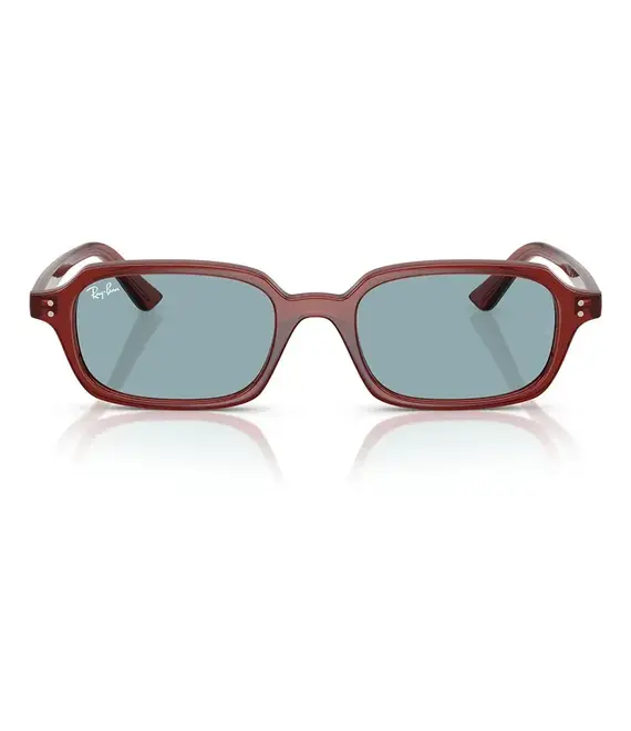Γυαλιά ηλίου Ray-Ban χρώμα: μπορντό, 0RB4455