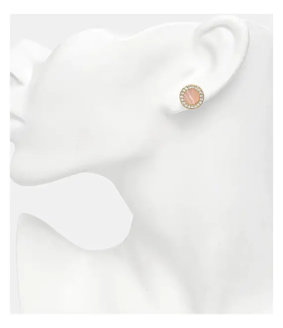 Σκουλαρίκια Dkny 04G00719