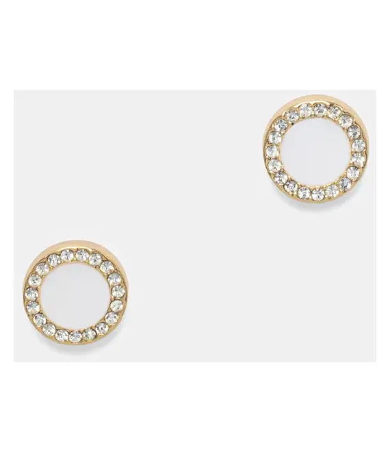 Σκουλαρίκια Dkny 04G00720