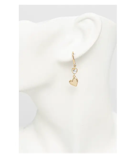 Σκουλαρίκια Dkny 04G00715
