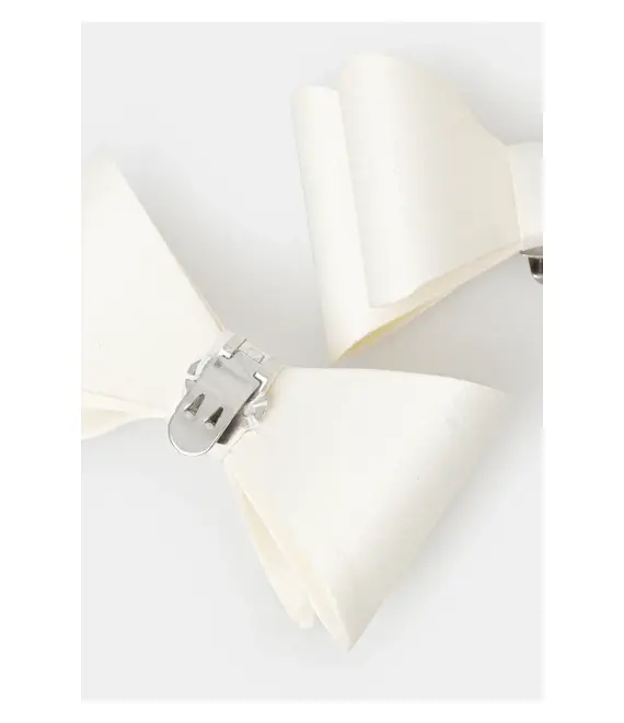 Διακοσμητικά για υποδήματα Aldo TALOBARAEN 2-pack 13995051
