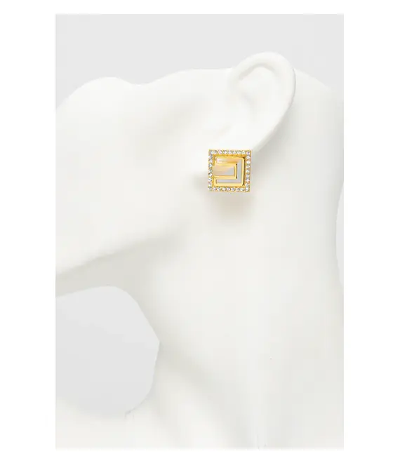 Σκουλαρίκια Elisabetta Franchi OR58A52E2