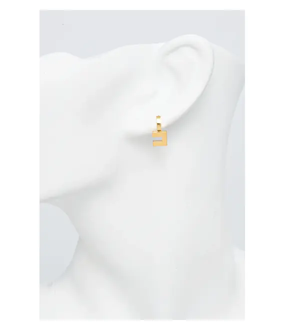 Σκουλαρίκια Elisabetta Franchi OR62M52E2