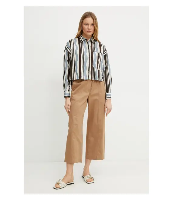 Βαμβακερό πουκάμισο Weekend Max Mara χρώμα: καφέ, 2515111112600