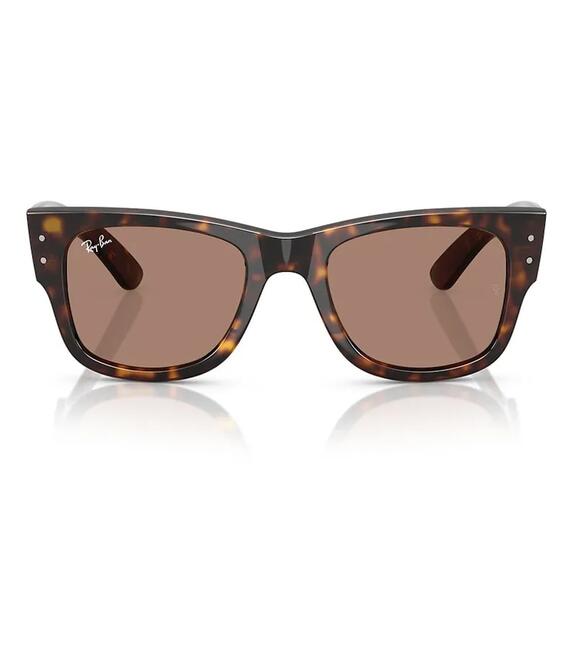 Γυαλιά ηλίου Ray-Ban MEGA WAYFARER χρώμα: καφέ, 0RB0840S
