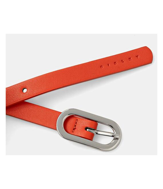 Ζώνη Sisley χρώμα: χρυσαφί, 6GYWWL022