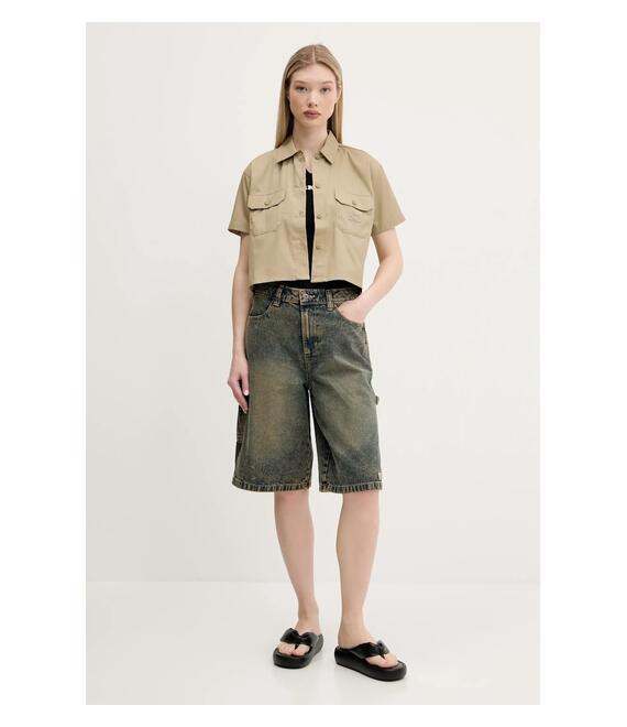 Πουκάμισο Dickies χρώμα: πράσινο, DKDFS573KHK1