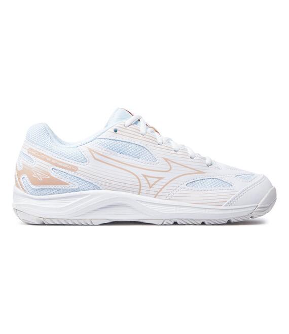 Παπούτσια Σάλας Mizuno