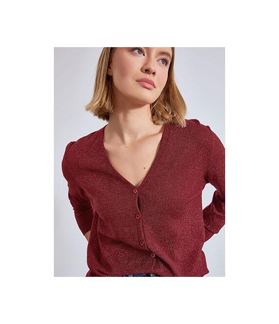 Ζακέτα μεταλλιζέ WT7616.5928+5