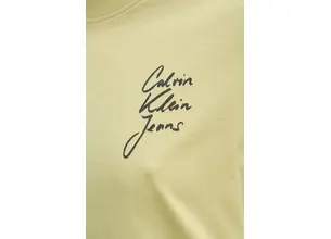 Βαμβακερό μπλουζάκι Calvin Klein Jeans γυναικείο, χρώμα: πράσινο, J20J224984