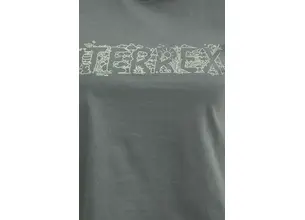 Μπλουζάκι adidas TERREX Wild χρώμα: γκρι, JI9156